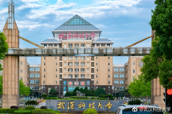 Université des sciences et technologies de Wuhan
